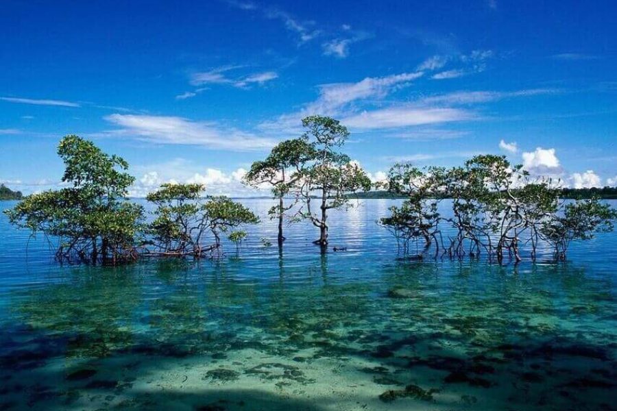 Andaman Tour 8 Nights 9 Days