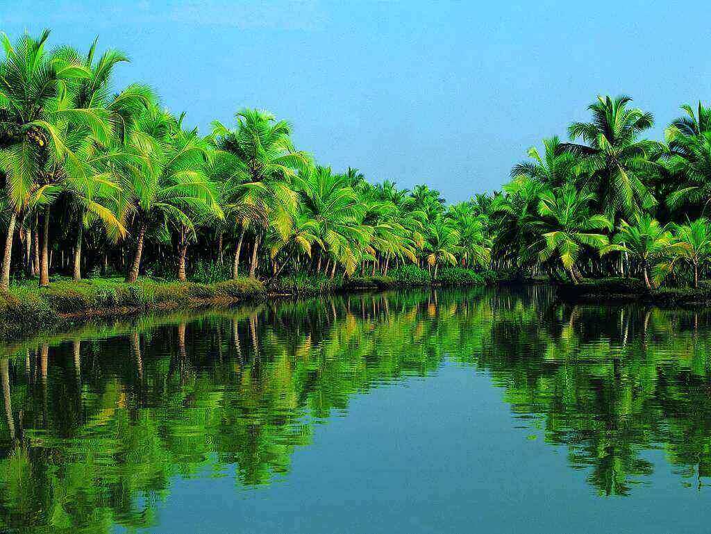 Top Tourist Places in India Kerala tripazzi