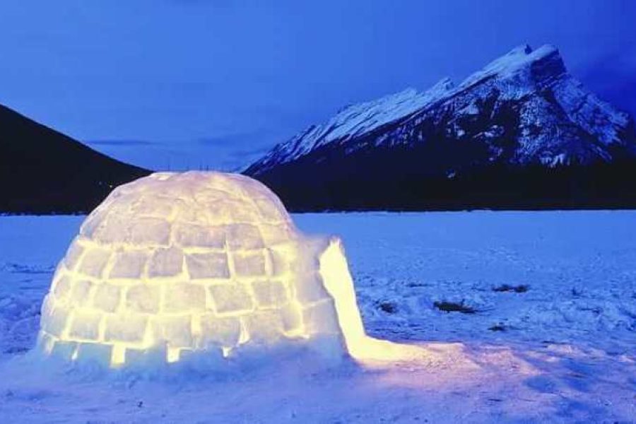 Manali Igloo Stay Tripazzi